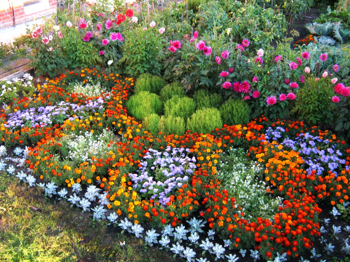 Фото Посадки Цветов На Даче