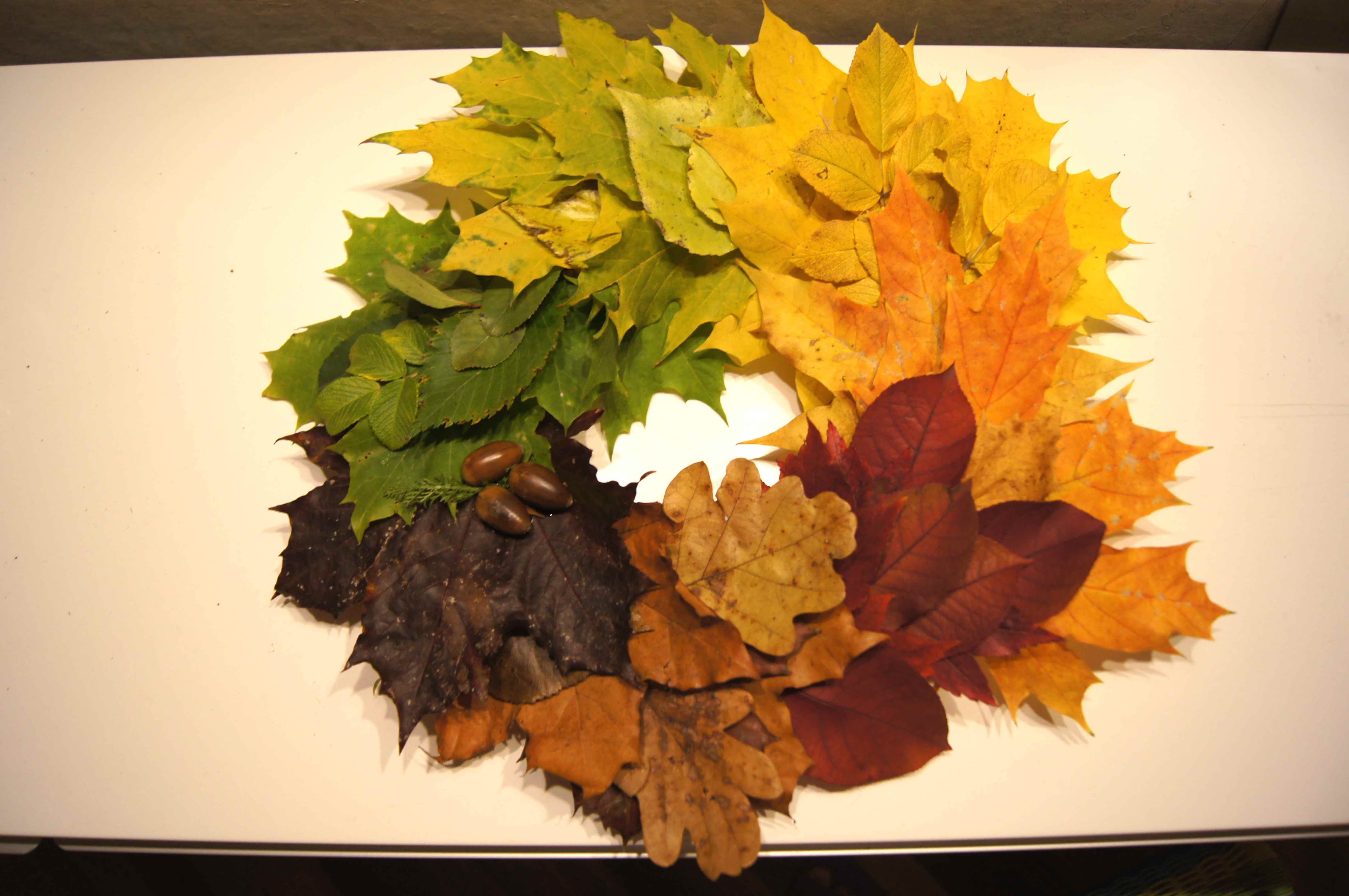 поделки из листьев фото для школьников