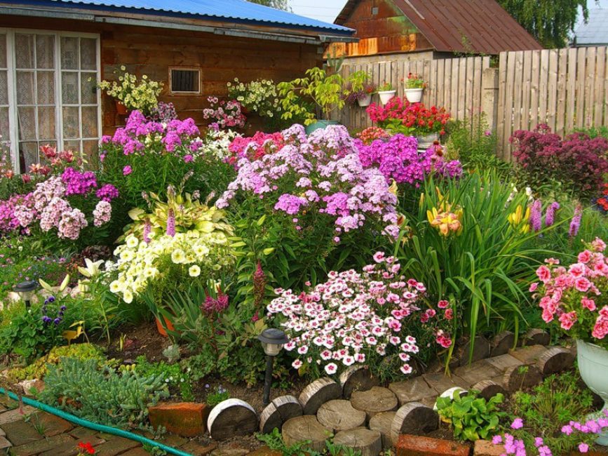 Лучший способ украсить свой сад — это использовать цветущую растительность