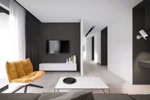Стильность, Комфорт и Красота (170+ Фото): интерьер в черно-белых тонах (гостиной, спальни, кухни)