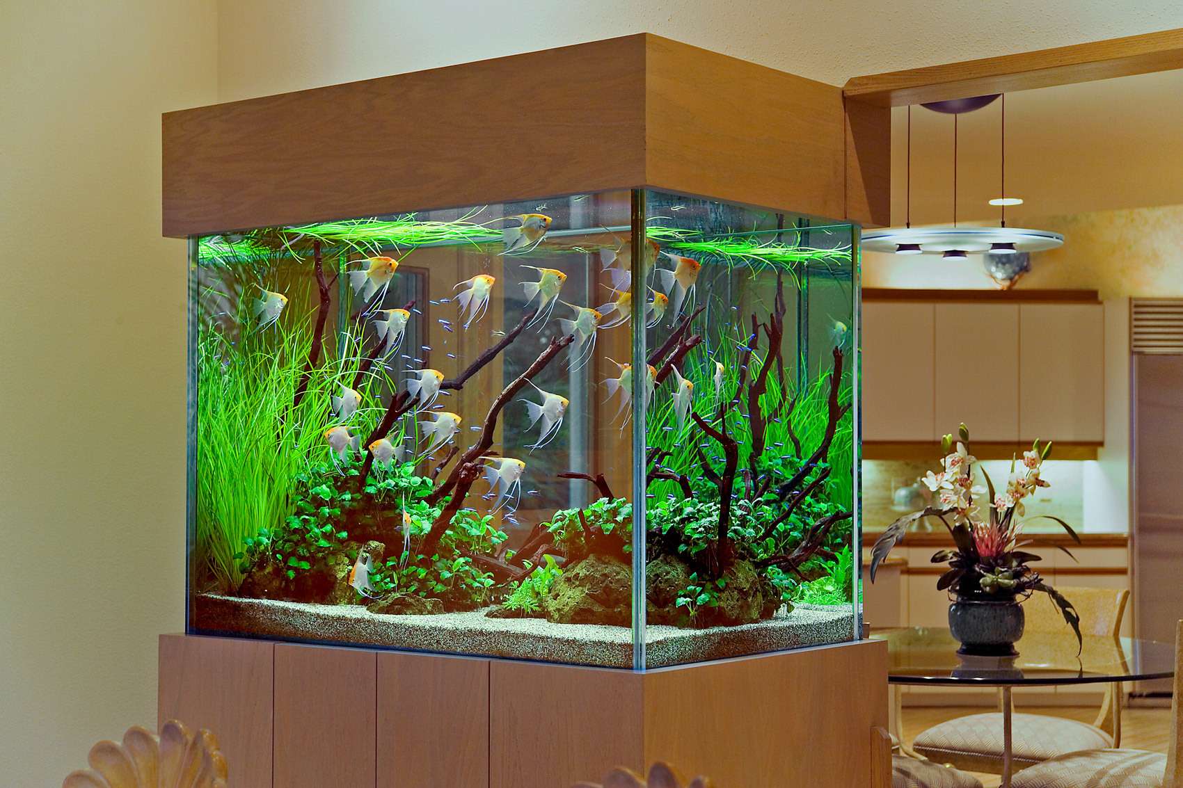 Дизайн комнаты с аквариумом