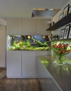 Аквариум в интерьере квартиры или дома: 145+ (Фото) видов для оформления Вашего дизайна (угловой, сухой, перегородка, маленький)