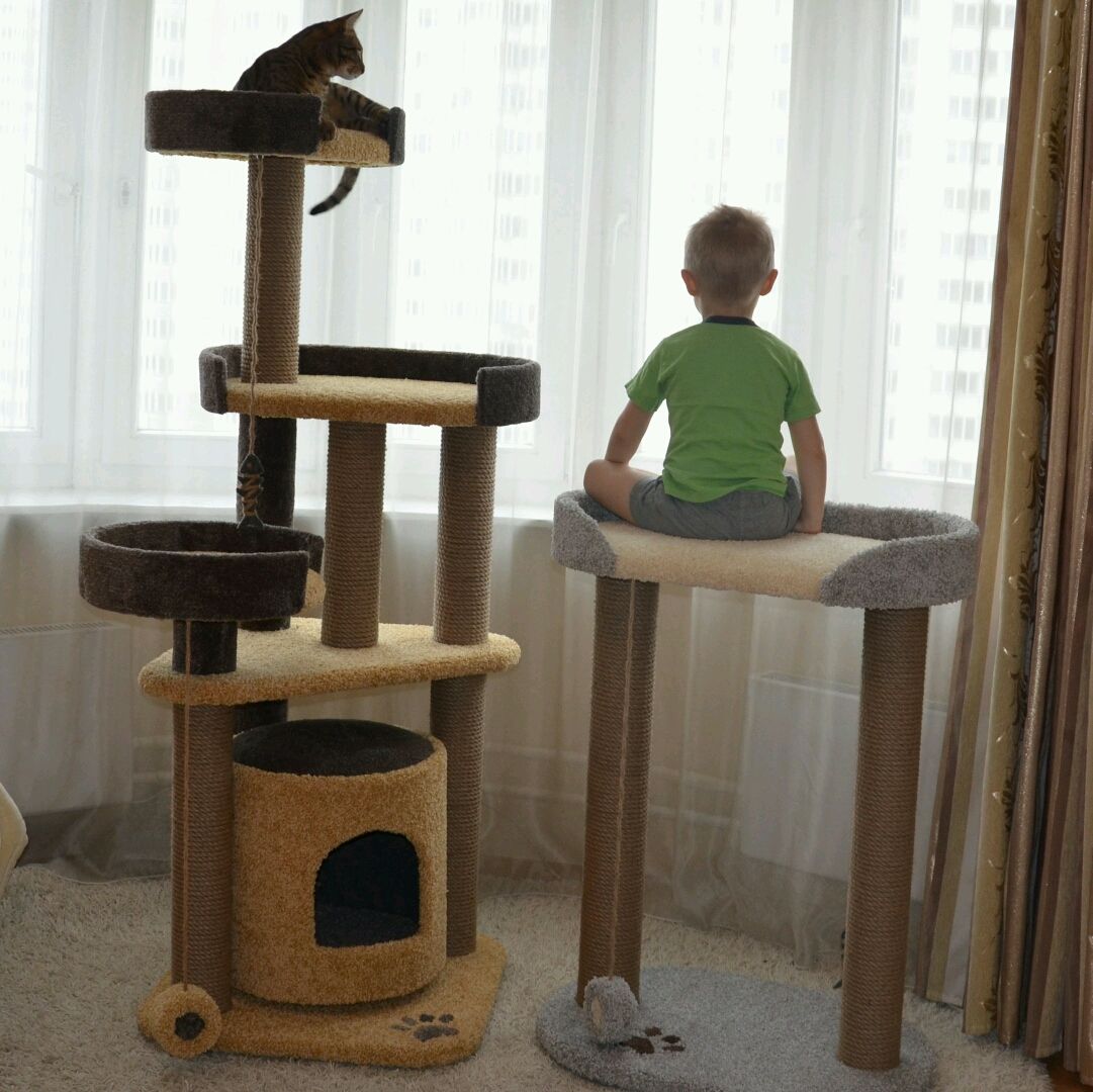Кошачий домик с когтеточкой своими руками чертежи с размерами - картинки и фото natali-fashion.ru