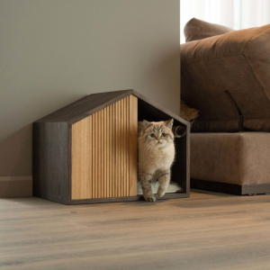 Домик для кошки своими руками: Как сделать пошагово? 150+ (Фото) из дерева, картона, коробок, с когтеточкой