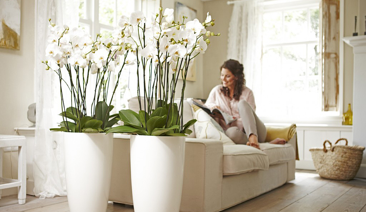 Красивые вазы для интерьера дома