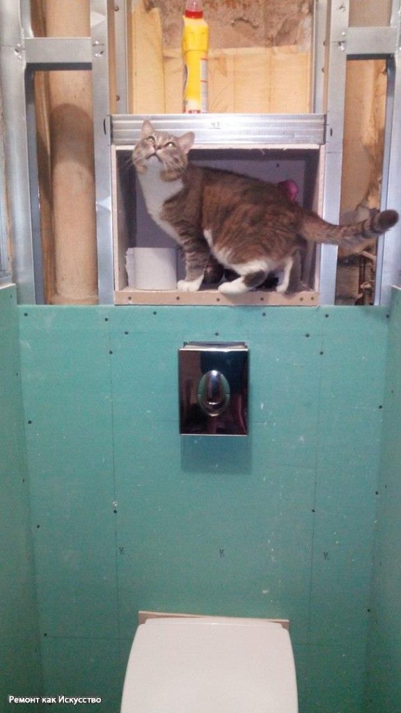 Хозяйка двух кошек сама сделала ремонт в туалете, а друзья давали советы. Фото До/После