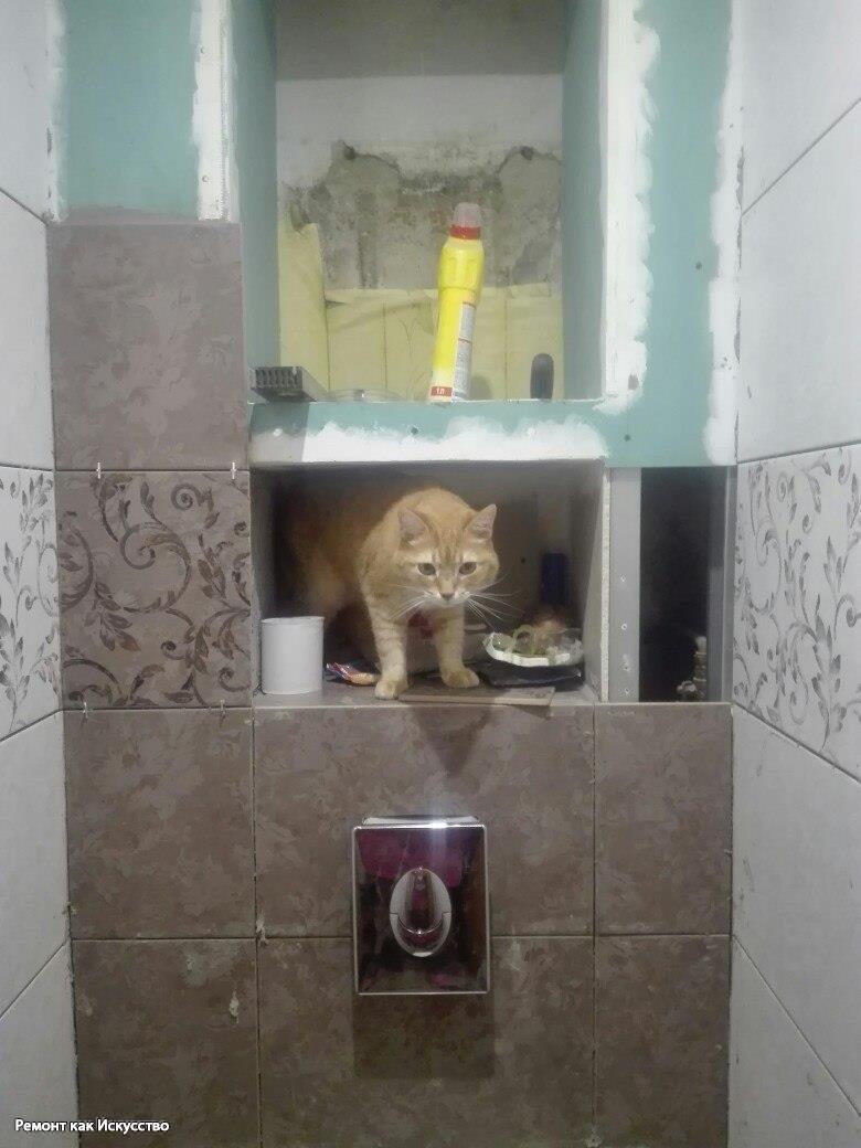 Хозяйка двух кошек сама сделала ремонт в туалете, а друзья давали советы. Фото До/После