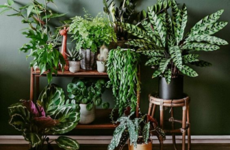 Слияние с природой: как органично вписать растения в интерьер вашего дома