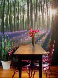 3Д фото обои на стену (+225 Фото): ТОП-5 видов для современных интерьеров + Советы по оформлению