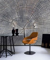 3Д фото обои на стену (+225 Фото): ТОП-5 видов для современных интерьеров + Советы по оформлению