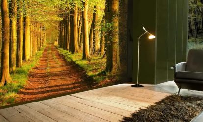 3Д фото обои на стену (+225 Фото): ТОП-5 видов для современных интерьеров + Советы по оформлению