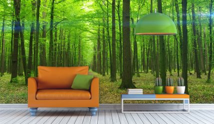 3Д фото обои на стену (+225 Фото): ТОП-5 видов для современных интерьеров + Советы по оформлению