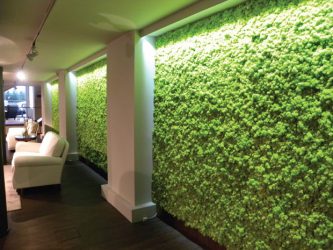 Внутренняя декоративная отделка стен (обои, плитка, панели, штукатурка, краска) + 220 ФОТО