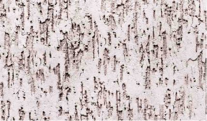 Отделка декоративной штукатуркой в интерьере (150+ Фото) — Технология, которая доступная каждому