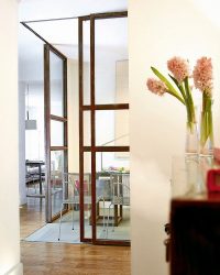 Двери со стеклянными вставками: 180+ (Фото) пластиковых, деревянных и алюминиевых вариантов (входные, межкомнатные, купе)