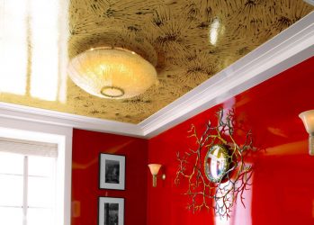 Двухуровневые потолки в зале:  Материалы, интересные сочетания, идеи по дизайну (135+ Фото)