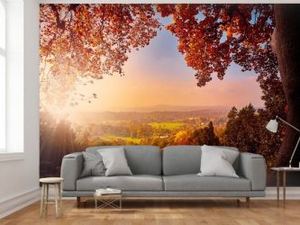 Фотообои на стене в Гостиной, Спальни, Кухни и Детской: 205+ Фото Привлекательных интерьеров