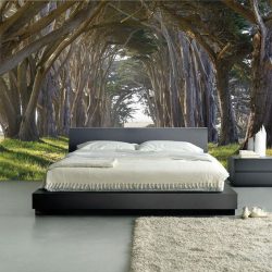 Фотообои на стене в Гостиной, Спальни, Кухни и Детской: 205+ Фото Привлекательных интерьеров