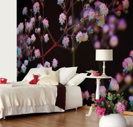 Фотообои на стене в Гостиной, Спальни, Кухни и Детской: 205+ Фото Привлекательных интерьеров