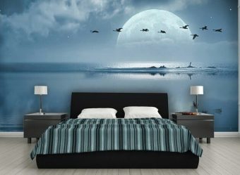 Фотообои на стене в Гостиной, Спальни, Кухни и Детской: 205+ Фото Привлекательных интерьеров