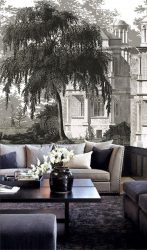 Фотообои на стене в Гостиной, Спальни, Кухни и Детской: 205+ Фото Привлекательных интерьеров