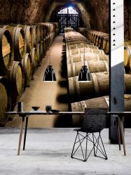 Фотообои на стене в Гостиной, Спальни, Кухни и Детской: 205+ Фото Привлекательных интерьеров