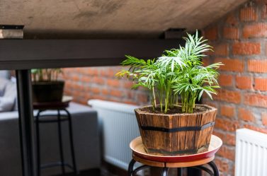 Дизайн дома с мансардой (170+ Фото) — Варианты отделки интерьера комнаты