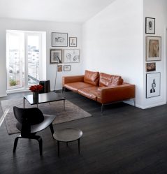 Кожаный диван в интерьере: С чем подать? 160+ (Фото). От больших до маленьких. От белых до черных