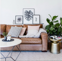 Кожаный диван в интерьере: С чем подать? 160+ (Фото). От больших до маленьких. От белых до черных