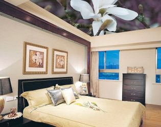 Современные натяжные потолки (матовые, глянцевые, двухуровневые). Выбор и установка от А до Я + 230 ФОТО