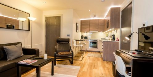 230+ Фото Идей интерьеров 1-й (однокомнатной) Квартиры в 40 кв.м. Простой и стильный современный дизайн