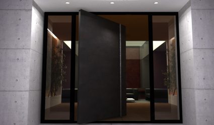 Входные пластиковые двери в частном доме (145+ Фото): Как сделать и надежно, и красиво?