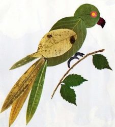 Изготовление поделок из сухих листьев на листе бумаги А-4 Своими руками + Мастер-класс: гербарий для декора