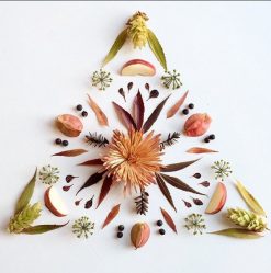 Изготовление поделок из сухих листьев на листе бумаги А-4 Своими руками + Мастер-класс: гербарий для декора