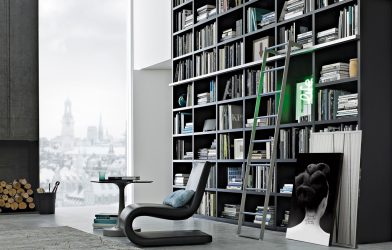 Книжные шкафы со стеклянными дверцами — 170+ (Фото) Вариантов моделей