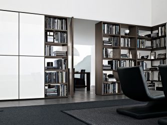 Книжные шкафы со стеклянными дверцами — 170+ (Фото) Вариантов моделей