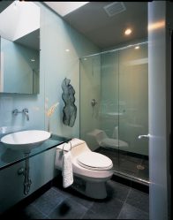 Шторки в ванную комнату: 175+ (Фото) Выбора для Вашего дизайна (тканевые, пластиковые,стеклянные)