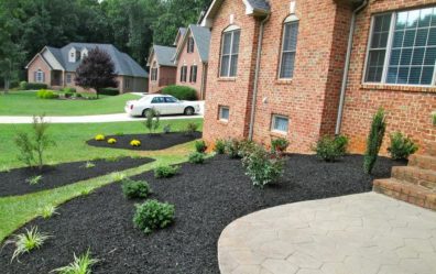 265+ Фото стилей домов — Фасады, которые запомнятся