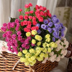 Цветы в интерьере: 175+ (Фото) Красивых сочетаний (в гостиной, спальне, на кухне)