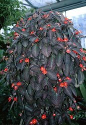 Цветы в интерьере: 175+ (Фото) Красивых сочетаний (в гостиной, спальне, на кухне)