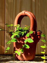 Цветы в интерьере: 175+ (Фото) Красивых сочетаний (в гостиной, спальне, на кухне)