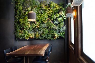 Цветы в интерьере: 175+ (Фото) Красивых сочетаний (в гостиной, спальне, на кухне)