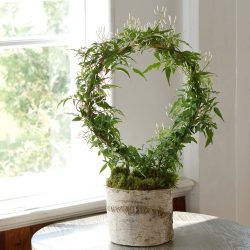 Цветы в интерьере: 175+ (Фото) Красивых сочетаний (в гостиной, спальне, на кухне)