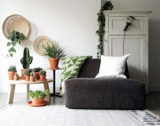 Цветы в интерьере: 175+ (Фото) Красивых сочетаний (в гостиной, спальне, на кухне)