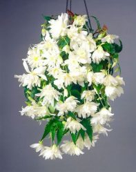 Цветы в интерьере: 175+ (Фото) Красивых сочетаний (в гостиной, спальне, на кухне)