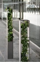 Цветы в интерьере: 175+ (Фото) Красивых сочетаний (в гостиной, спальне, на кухне)