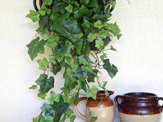 Цветы в интерьере: 175+ (Фото) Красивых сочетаний (в гостиной, спальне, на кухне)