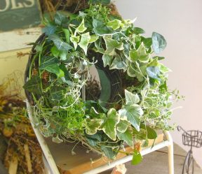 Цветы в интерьере: 175+ (Фото) Красивых сочетаний (в гостиной, спальне, на кухне)