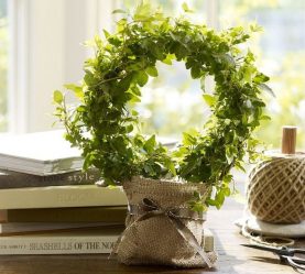 Цветы в интерьере: 175+ (Фото) Красивых сочетаний (в гостиной, спальне, на кухне)