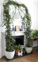 Цветы в интерьере: 175+ (Фото) Красивых сочетаний (в гостиной, спальне, на кухне)